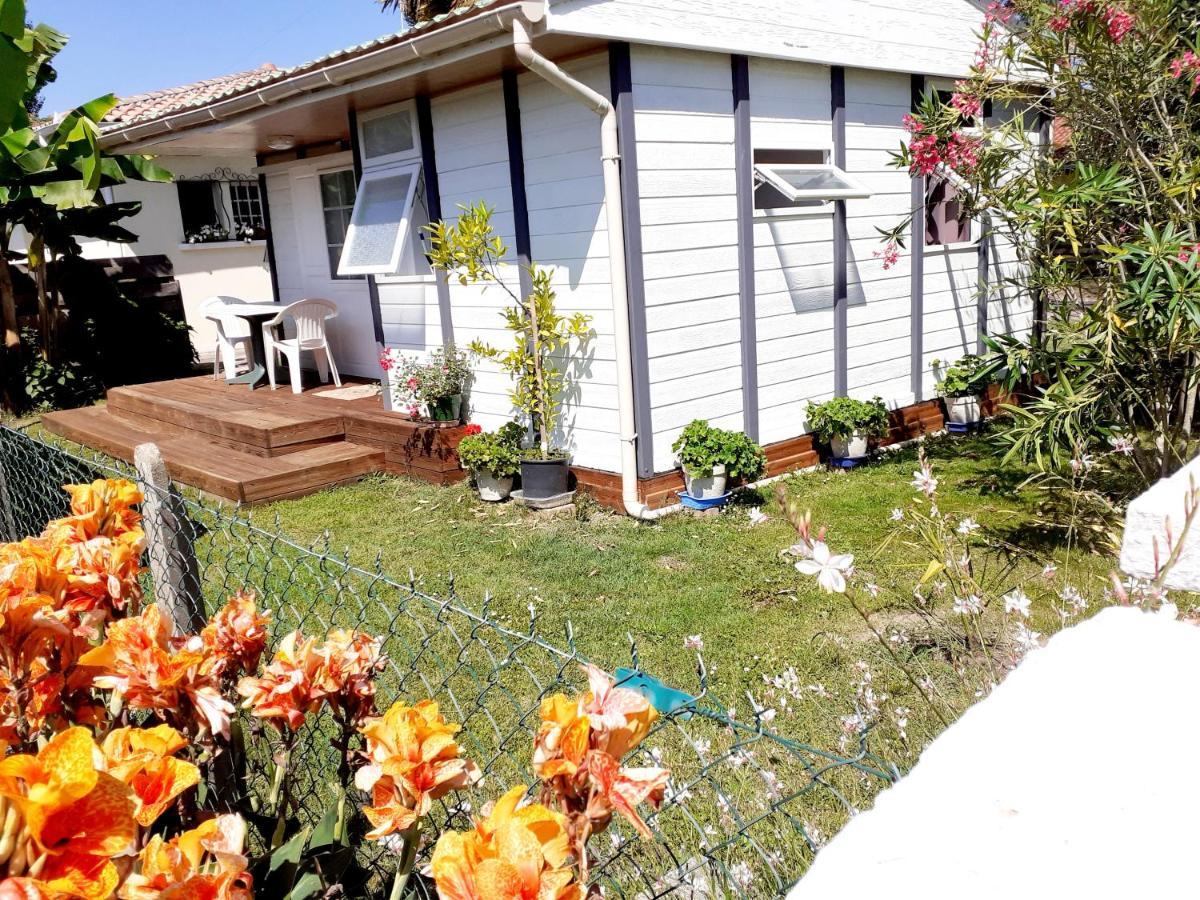 Chalet Narrosse Eksteriør bilde